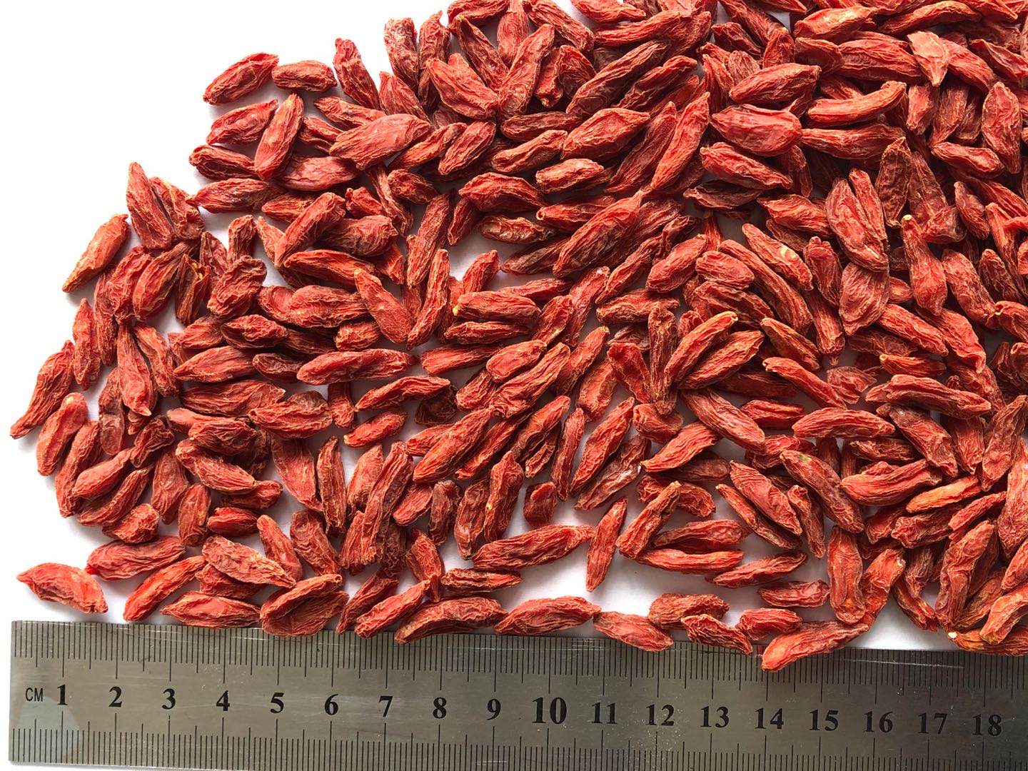 枸杞 - Goji Berry