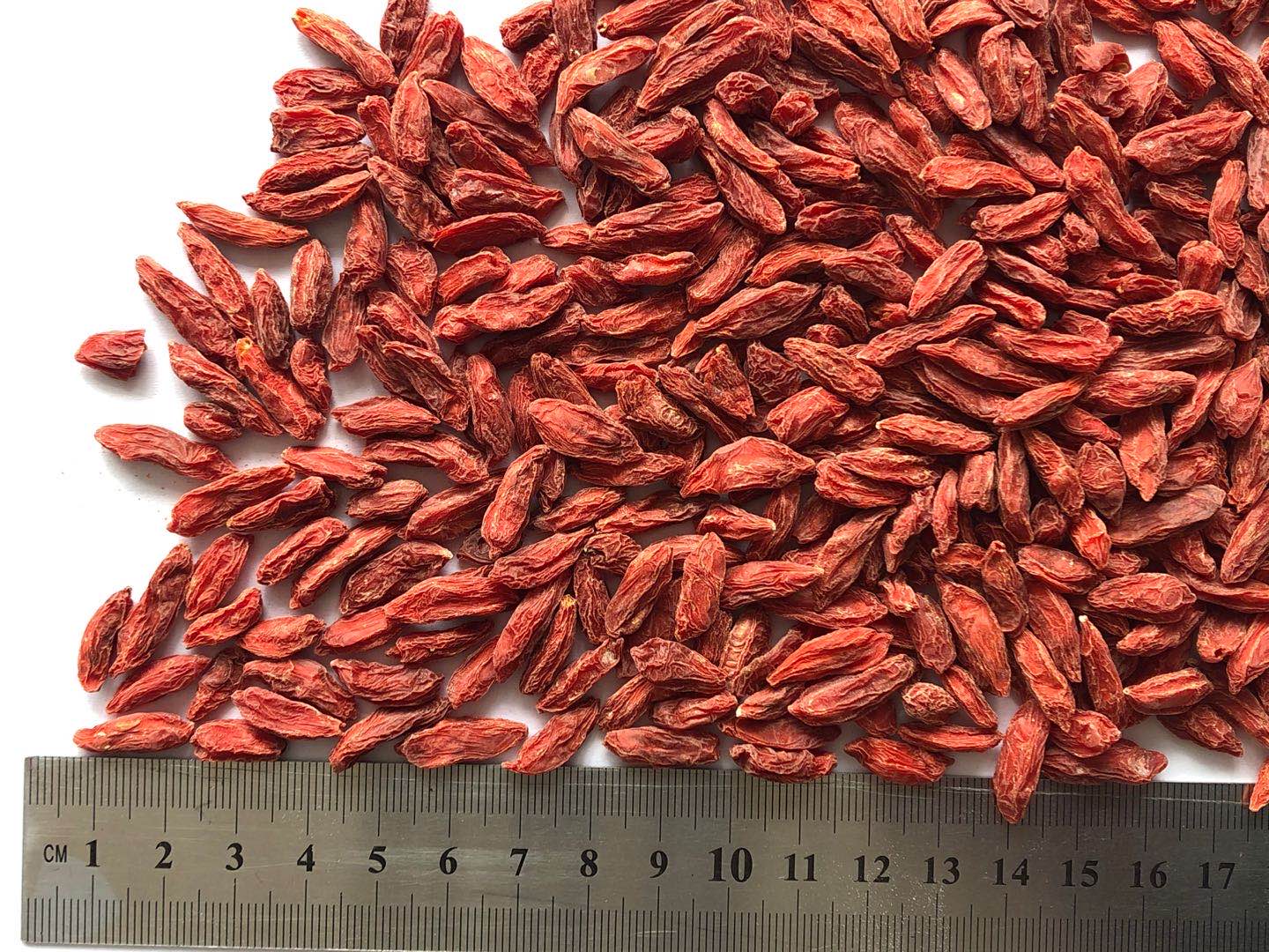 枸杞 - Goji Berry