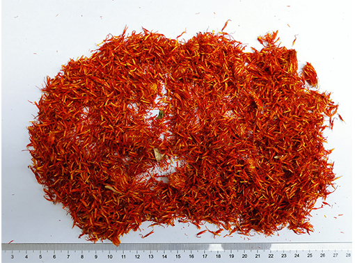 红花 - Safflower