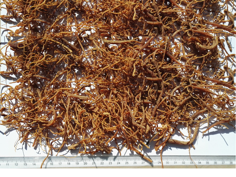人参 - Ginseng Root